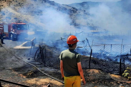 Brand in einer Scheune in Çanakkale: 150 Tiere kamen ums Leben