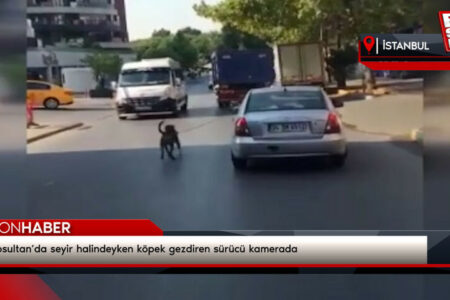 Der Fahrer, der während der Fahrt in Eyüpsultan mit seinem Hund spazieren ging, wurde von der Kamera gefilmt
