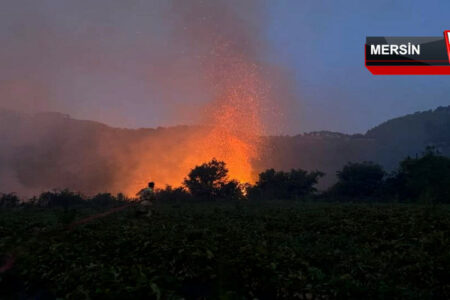 Der nachts ausgebrochene Waldbrand in Mersin konnte unter Kontrolle gebracht werden