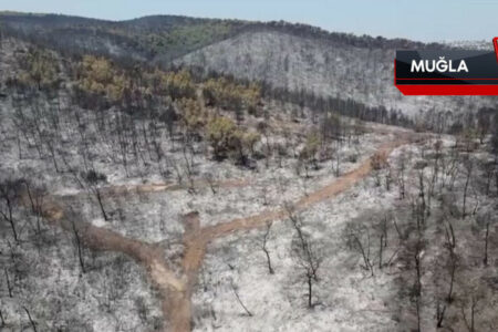 Die durch den Brand beschädigten Gebiete in Muğla wurden aus der Luft betrachtet