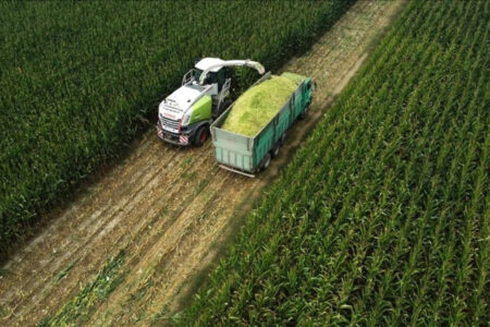 Die landwirtschaftlichen Erzeugerpreise stiegen im Juni um 4,04 Prozent