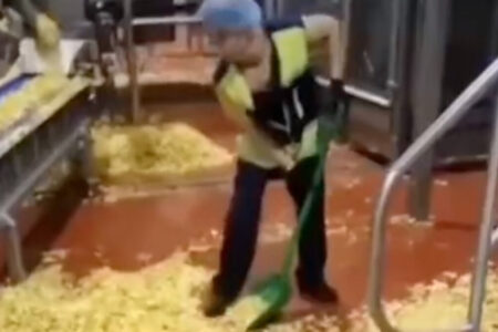Die widerliche Szene in der Chipsfabrik