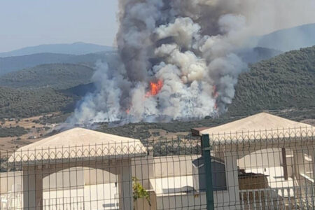 Graslandbrand breitete sich auf den Wald in Muğla aus