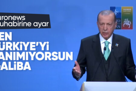 Präsident Erdogan zum Euronews-Korrespondenten: Ich sehe, Sie kennen die Türkei nicht