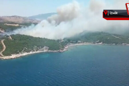 Reaktion auf den Waldbrand in Aliağa
