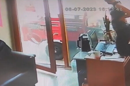 Snake betrat einen Arbeitsplatz in Çanakkale