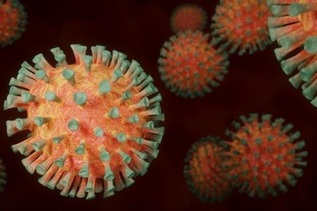 Untervariante des Coronavirus veröffentlicht, was tun?