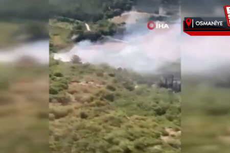 Waldbrand in Osmaniye: Teams begannen einzugreifen