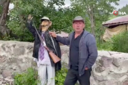 Bären belästigt Dorfbewohner in Artvin