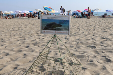 Baby-Caretta-Carettas am Strand von Patara werden von Freiwilligen geschützt