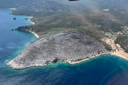 Bei dem Waldbrand in Izmir festgenommene Verdächtige wurden freigelassen