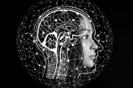 Das Buch „The Brain That Tells Itself Stories“, das Sie auf eine einzigartige Reise in das menschliche Gehirn mitnimmt