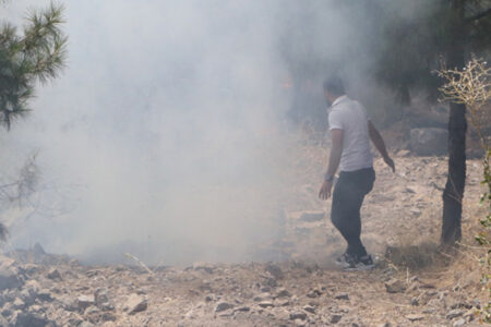 Der Verdächtige, der den Wald in Şanlıurfa niedergebrannt hat, wurde festgenommen