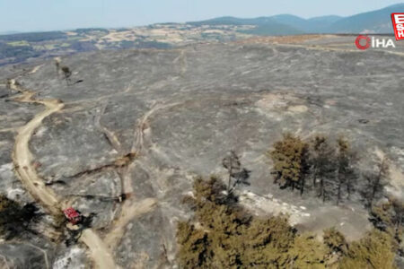 Der Waldbrand in Çanakkale wurde unter Kontrolle gebracht