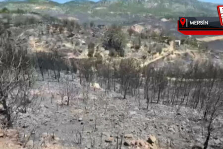 Der Waldbrand in Mersin ist unter Kontrolle