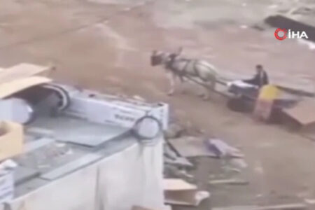 Diebe, die mit einer Pferdekutsche die U-Bahn-Baustelle in Başakşehir betraten, wurden vor der Kamera gefilmt