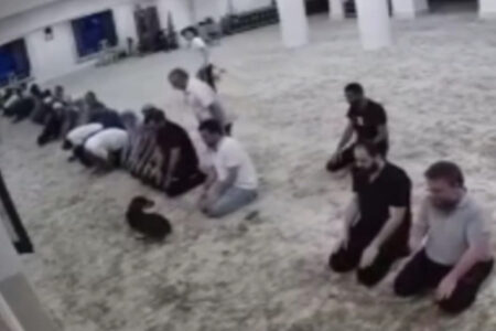 Ein Hund ist in die Moschee in Başakşehir eingedrungen und hat den Betenden Ärger bereitet.