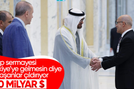 Erklärung von Mehmet Şimşek zum 50-Milliarden-Dollar-Abkommen zwischen Türkiye und den VAE