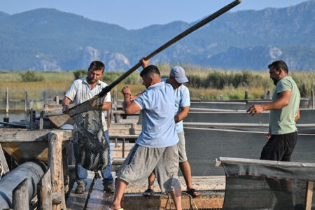 Fischer im Dalyan-Kanal in Muğla haben bei heißem Wetter Schwierigkeiten