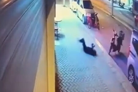 Mordverdächtiger in Eskişehir wurde freigesprochen