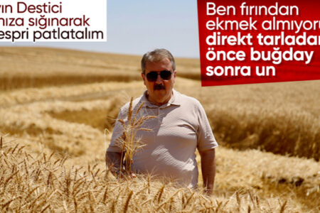 Mustafa Destici beteiligte sich an der Weizenernte in Eskişehir und setzte einen Mähdrescher ein
