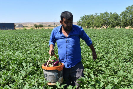 Vom Erdbeben betroffene Bauern in Gaziantep halten am Leben mit Erde fest