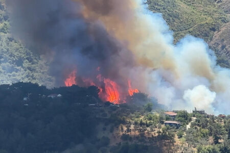 Waldbrand in der Nähe einer Siedlung in Hatay