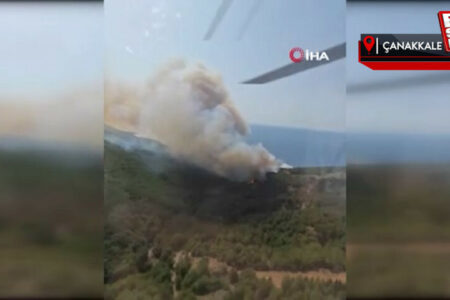 Waldbrand in Gökçeada