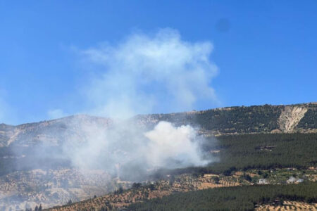 Waldbrand in Kahramanmaraş!  Gruppen begannen einzugreifen