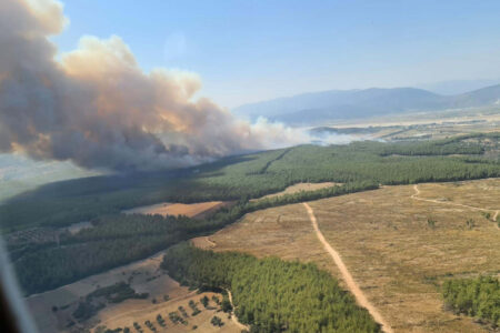Waldbrand in Muğla: 1 Torpedo legte 160 Hektar Land in Schutt und Asche