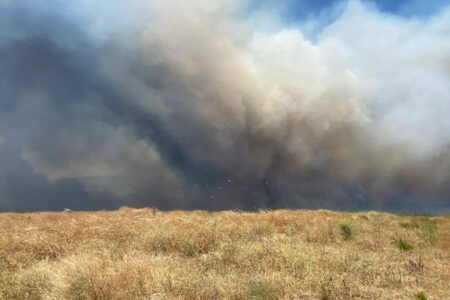 Wind beschleunigte Waldbrand in Çanakkale