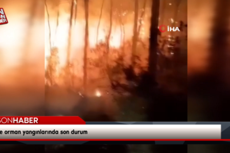 Aktuelle Situation bei Waldbränden in 3 Provinzen