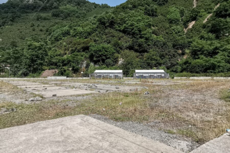 Aufgrund des Erdbebens ist es schwierig, Arbeitskräfte für die Haselnussernte in Ordu zu finden