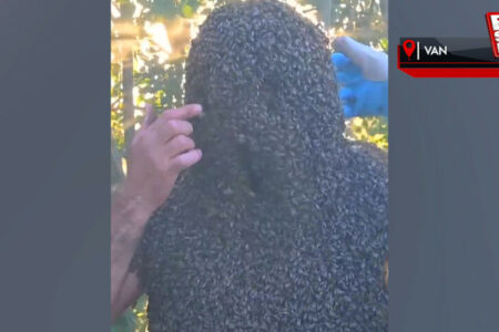 „Bee Man“ in Vans Traum vom Guinness-Buch der Rekorde steht vor der Tür