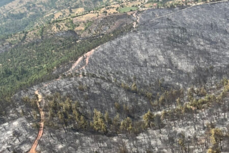 Bei dem Waldbrand in Kütahya wurden 180 Hektar Waldfläche beschädigt