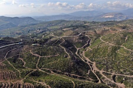 Das durch den Waldbrand in Manavgat beschädigte Gebiet wurde durch die Pflanzung von mehr als 5 Millionen Setzlingen wiederbelebt.