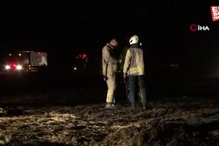 Das Feuer, das in einem Weizenfeld in Istanbul ausbrach, konnte gelöscht werden, bevor es auf Wohngebiete übergriff