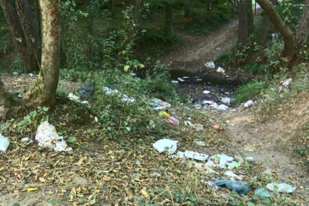 Der Belgrader Wald hat sich in eine Mülldeponie verwandelt!  18 Tonnen Müll in 3 Tagen gesammelt
