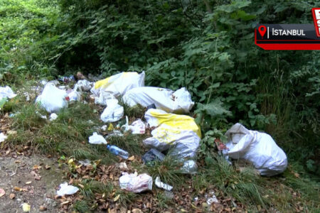 Der Belgrader Wald verwandelte sich in eine Mülldeponie