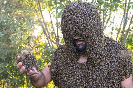Der Guinness-Buch-der-Rekorde-Traum vom „Bee Man“ in Van steht vor der Tür
