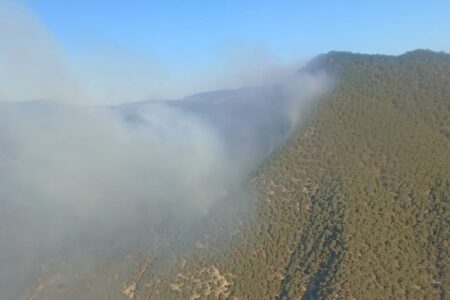 Der Kampf gegen einen Brand, der infolge eines Blitzeinschlags in Bolu ausbrach, geht weiter.