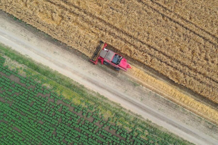 Der landwirtschaftliche Input stieg jährlich um 33,22 Prozent