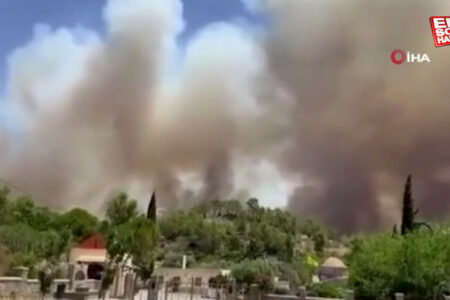 Der Waldbrand auf Rhodos dauert seit sechs Tagen an: 19.000 Menschen wurden evakuiert