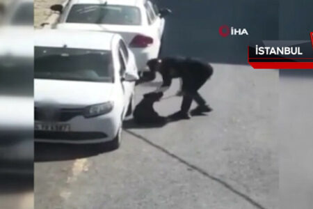 Er trat und schlug den Hund in Beşiktaş