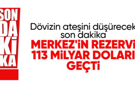 Hafize Gaye Erkan gab die Dollarreserven der Zentralbank bekannt