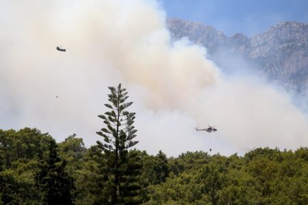 İbrahim Yumaklı hat geteilt!  Der Waldbrand in Kemer wurde unter Kontrolle gebracht