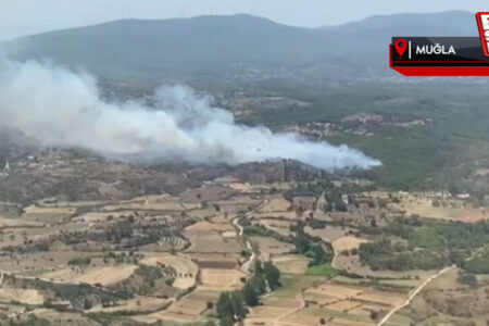 Im Bezirk Milas von Muğla brach ein Waldbrand aus