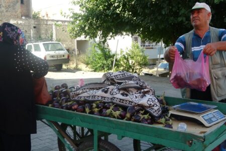 In Adana verkauft ein mobiler Gemüsehändler trotz der Hitze bei 50 Grad auf der Straße.