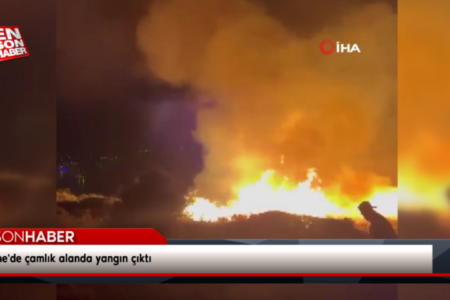 In einem Kiefernwald in Çeşme brach ein Feuer aus