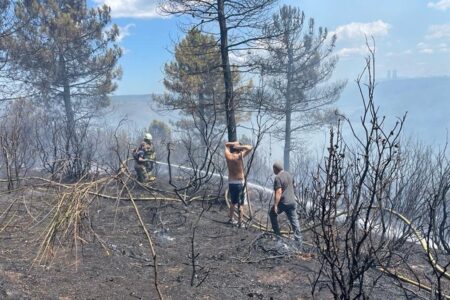 In Istanbul ist ein Feuer ausgebrochen!  Flammen steigen aus dem Waldgebiet in Sultangazi